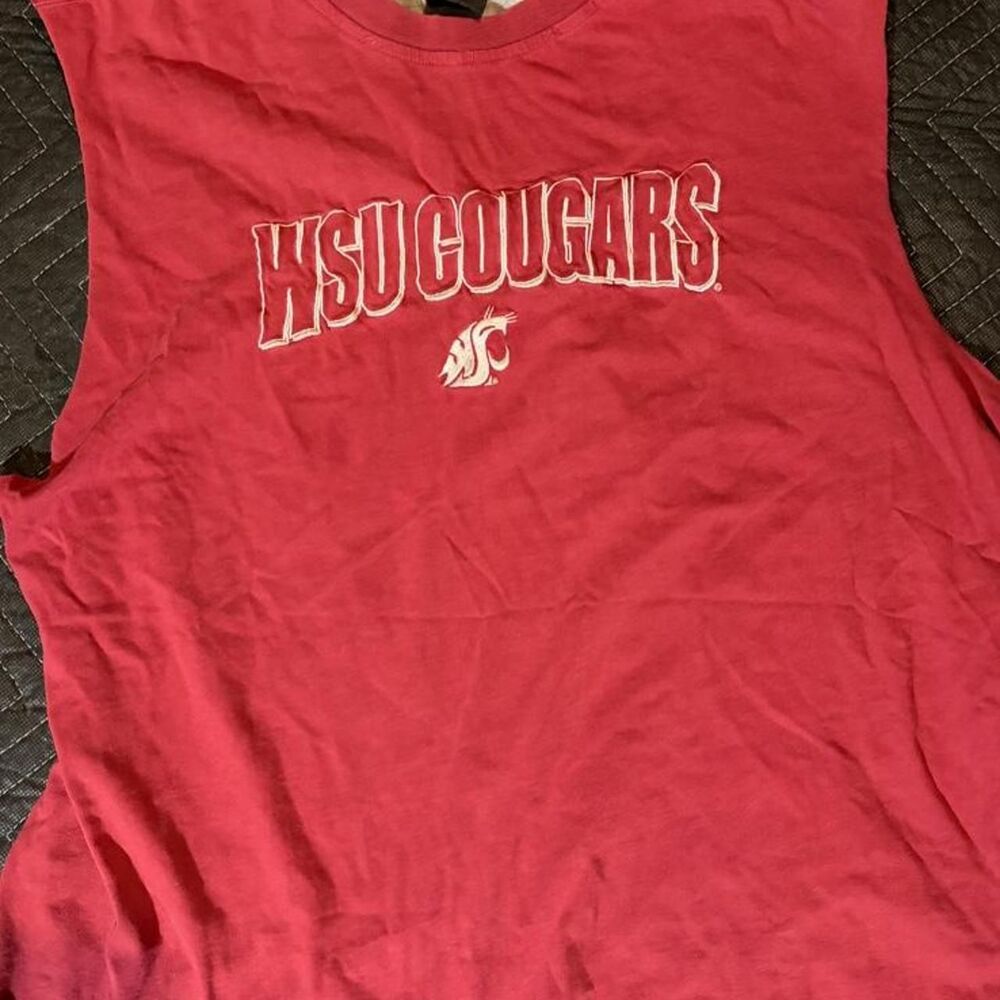 Unbranded Men's Red and Burgundy T-shirt